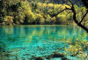 Danau Kaco, Surga Biru di Tengah Rimba—Cinnamon Guesthouse Jadi Titik Favorit Wisatawan