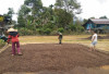 Musim Panen Tiba, Harga Kopi di Empat Lawang Masih 