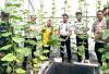 Tinjau Budidaya Melon, Anggur dan Ikan Lele