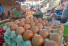 Produksi Telur Ayam Terganggu Cuaca Ekstrem