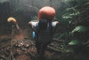 Ini 6 Misteri Gunung Salak yang Menarik untuk Diketahui