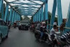 Macet Gegara Penampakan Buaya 