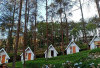 Sakura Hills Tawangmangu, Destinasi Wisata Ala Jepang di Kaki Gunung Lawu, Cuma 2 Jam dari Klaten