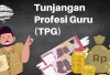 Kabar Besar 2025! Tiga Kategori Guru Resmi Dapat Tambahan TPG 100 Persen, Ini Syarat dan Mekanismenya!