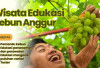 Gamma Grape Experience: Liburan Seru dan Edukatif di Malang dengan Tiket Terjangkau