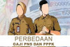 Selisih Gaji PNS dan PPPK Jika Single Salary Diterapkan: Ini Simulasi dan Perbedaannya