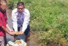 Laksanakan Perendaman Bibit Padi Varietas Unggul