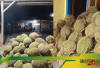 Ingin Nikmati Kelezatan Raja Buah? Kunjungi Surga Durian di Indonesia, Ini Daerah dengan Produksi Terbesar!