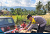 Hari Bhayangkara ke-80, Polres Empat Lawang Salurkan Bantuan untuk Korban Kebakaran di Muara Pinang
