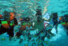 Jelajah Wisata Air Aceh: Diving, Snorkeling, hingga Arung Jeram yang Bikin Deg-degan!