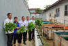Panen Kangkung di Lapas Sekayu