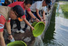 Lomba Mancing Ikan Mas Meriahkan HUT ke-69 Muba