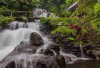 Air Terjun Jembong: Surga Tersembunyi di Buleleng yang Wajib Kamu Kunjungi!