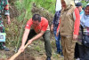 Wako Mulai Program Penanaman 1 Juta Pohon Pinus