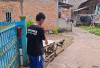 Junaidi Ditusuk Teman Sendiri Hingga Tewas