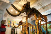Museum Geologi Bandung, Wisata Edukasi Bernilai Sejarah dan Sains untuk Semua Usia