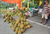 Pedagang Jagung Kebanjiran Rejeki