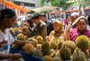 Kelompok Petani Durian di Pekalongan Berkembang Pesat Berkat Dukungan BRI