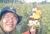 Petani Melon Air Satan Terancam Gagal Panen!