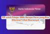 PIP untuk Pelajar SMA: Berapa Dana yang Bisa Diterima? Lihat Skemanya!