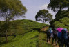 7 Gunung Tertinggi di Jawa Barat yang Wajib Anda Jelajahi untuk Petualangan Seru