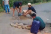 Sopir Travel Gotong Royong Perbaiki Jalan Rusak