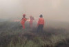 Sudah 43 Hektare Ludes Terbakar